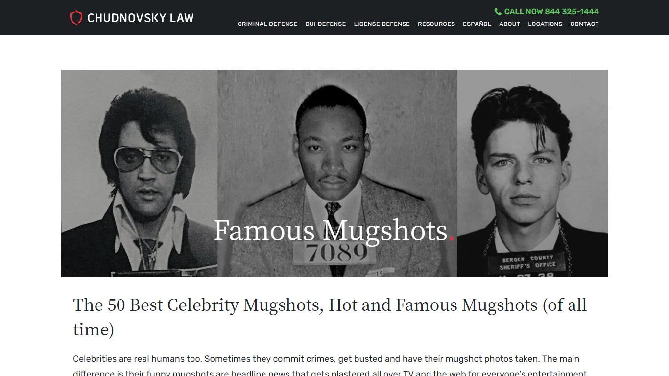 MUGSHOTS | The 50 Best Celebrity, Hot Mugshots (of all time)